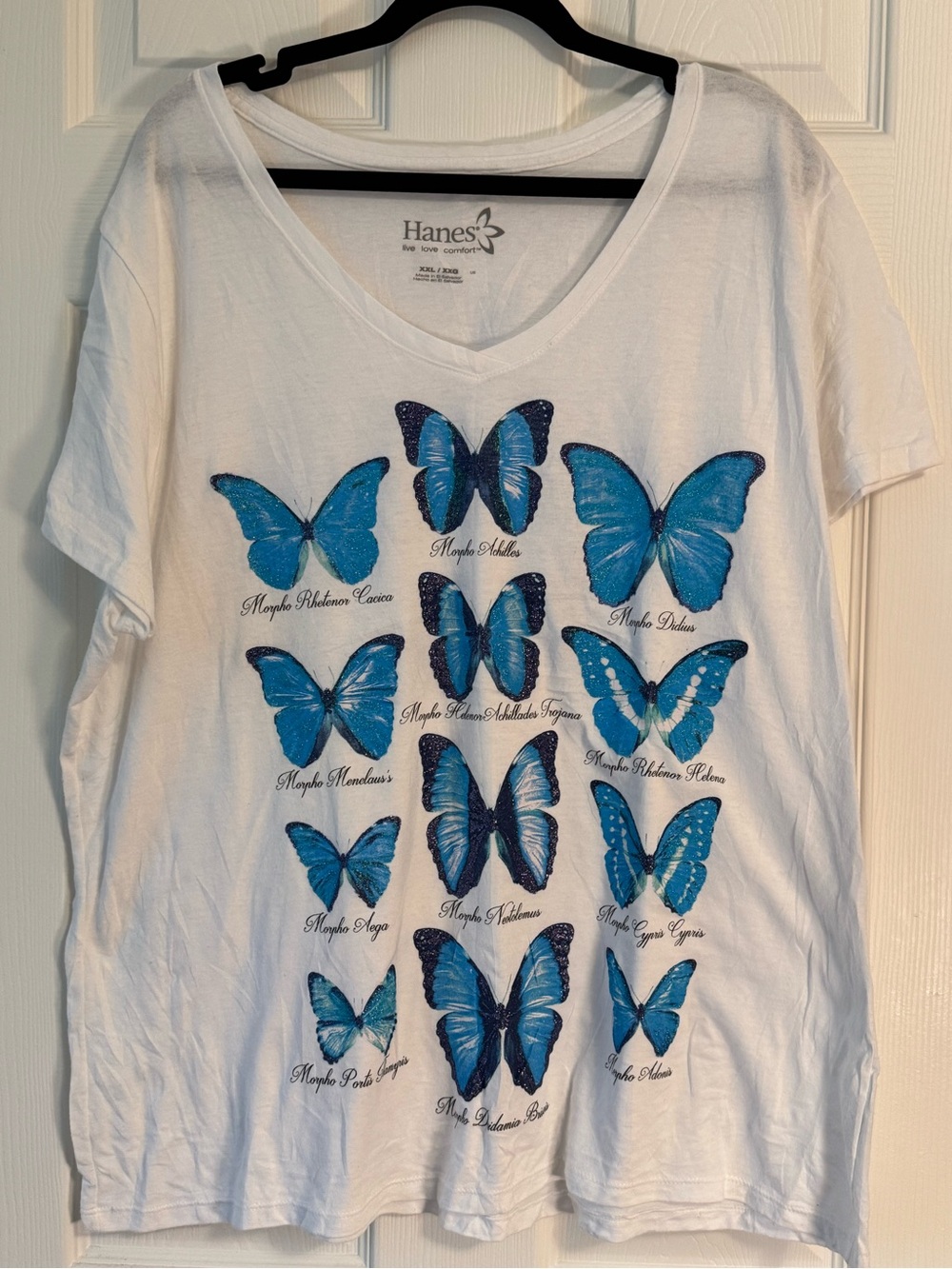 Hanes White V-Neck Tee with Gray Logo